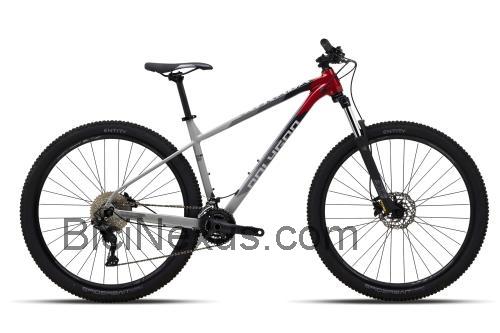 Polygon Xtrada 5 opinión y ficha técnica